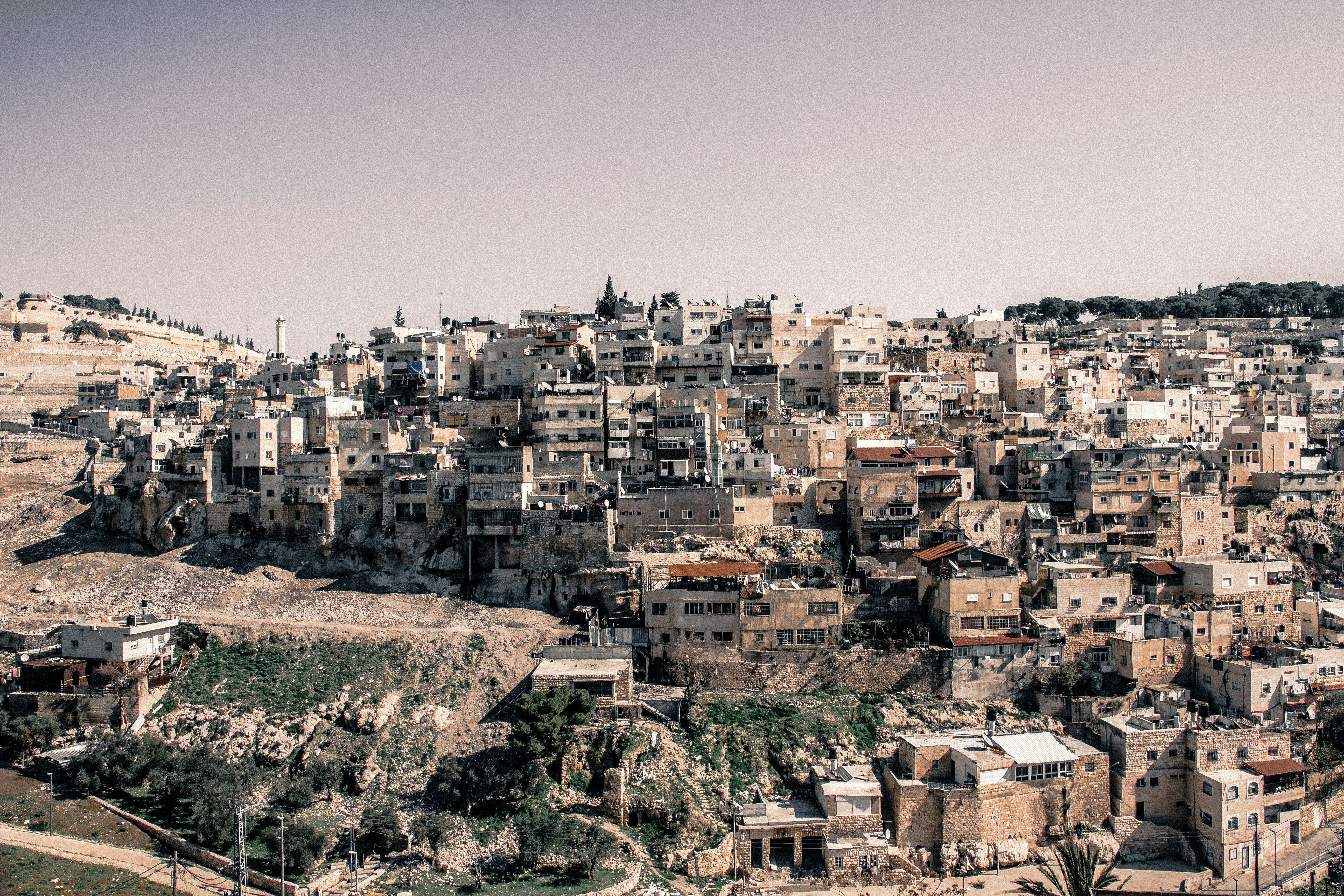 Palestine — image 1