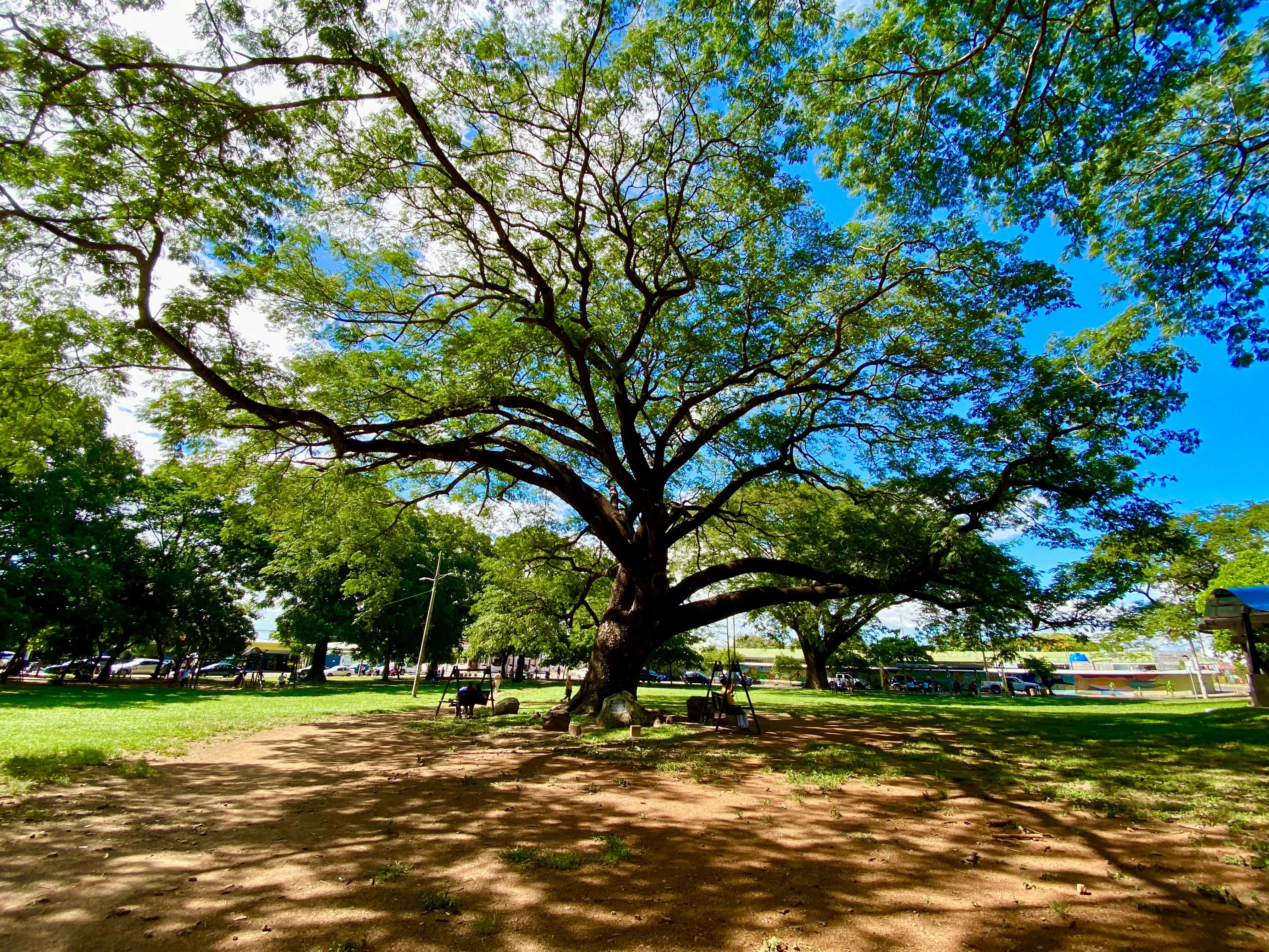 Liberia — image 2