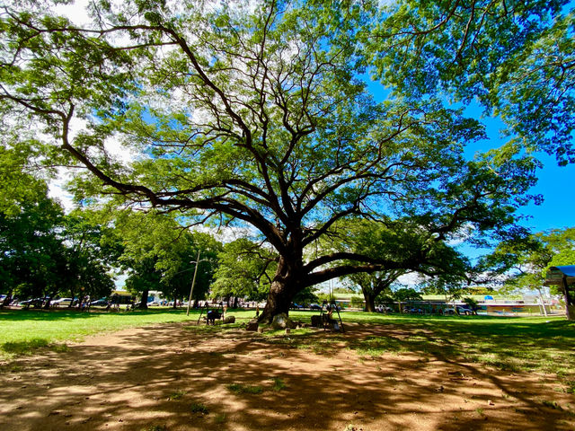 Guanacaste