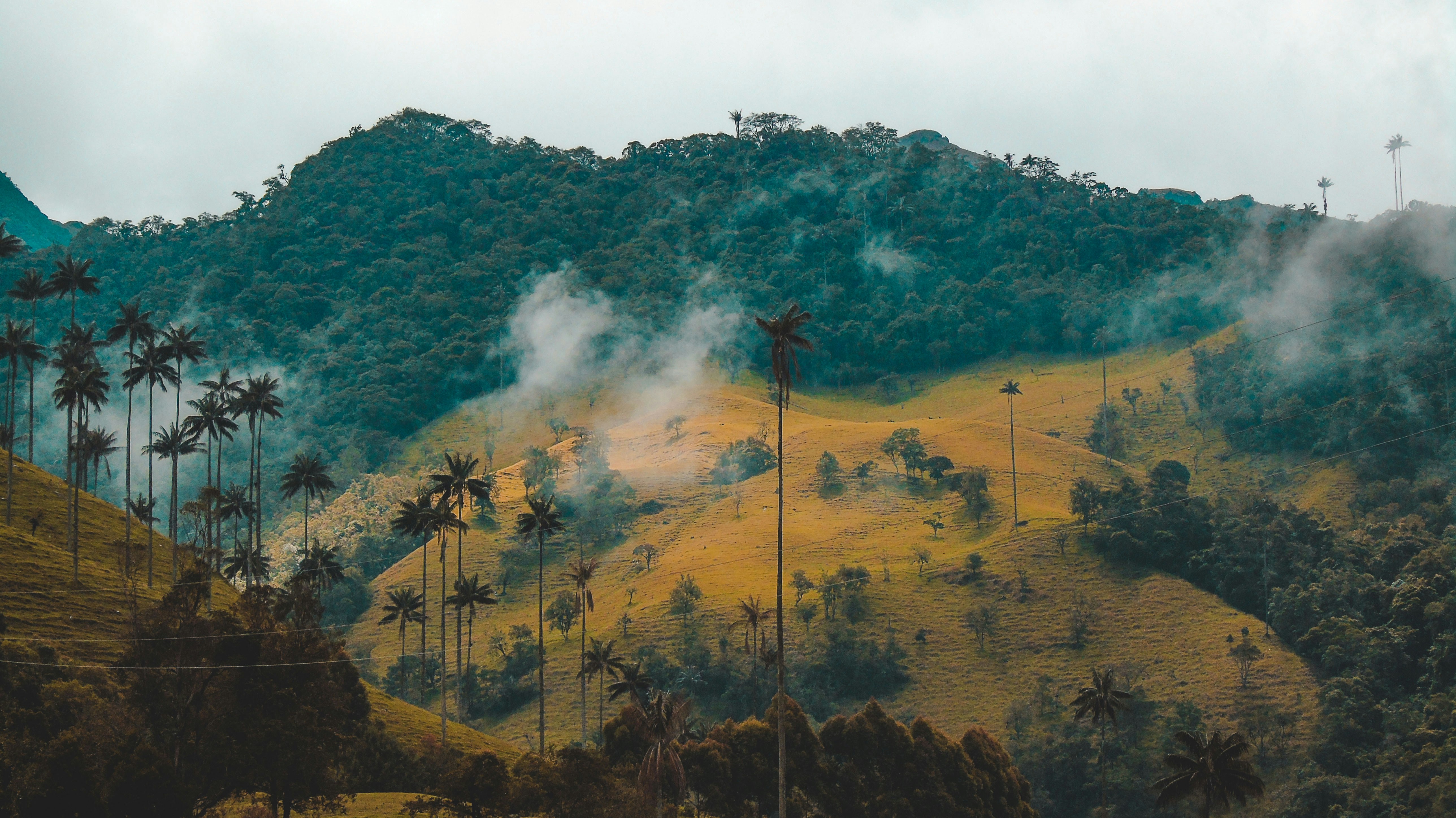 Colombia — image 2