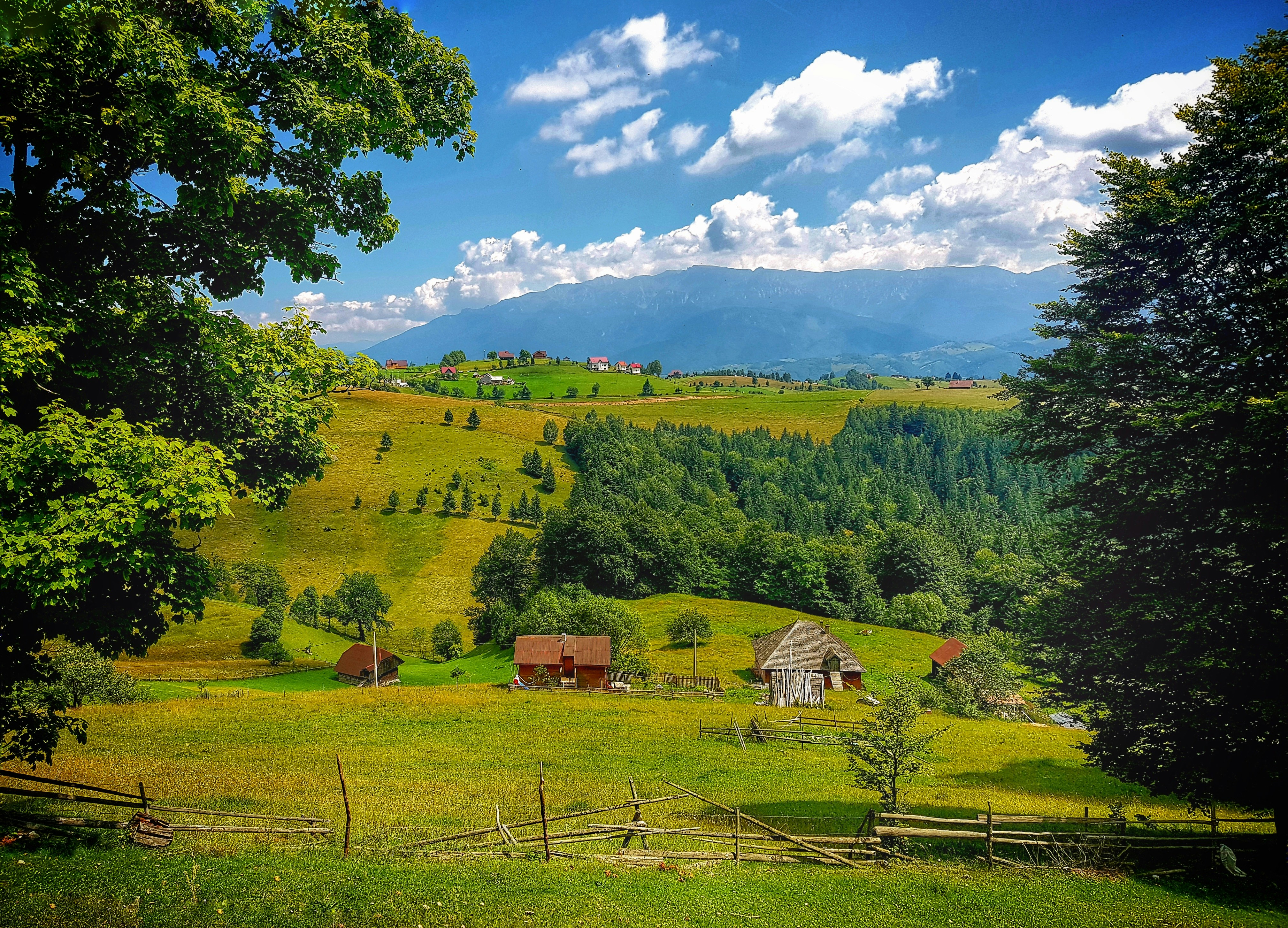 Romania — image 4