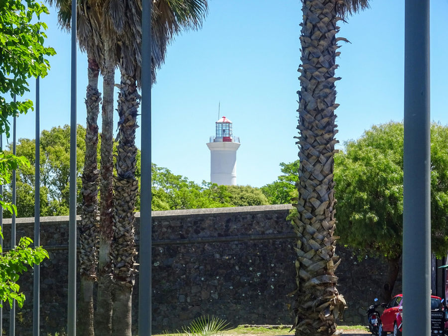 White lighthouse surrounded by palm trees and greenery
