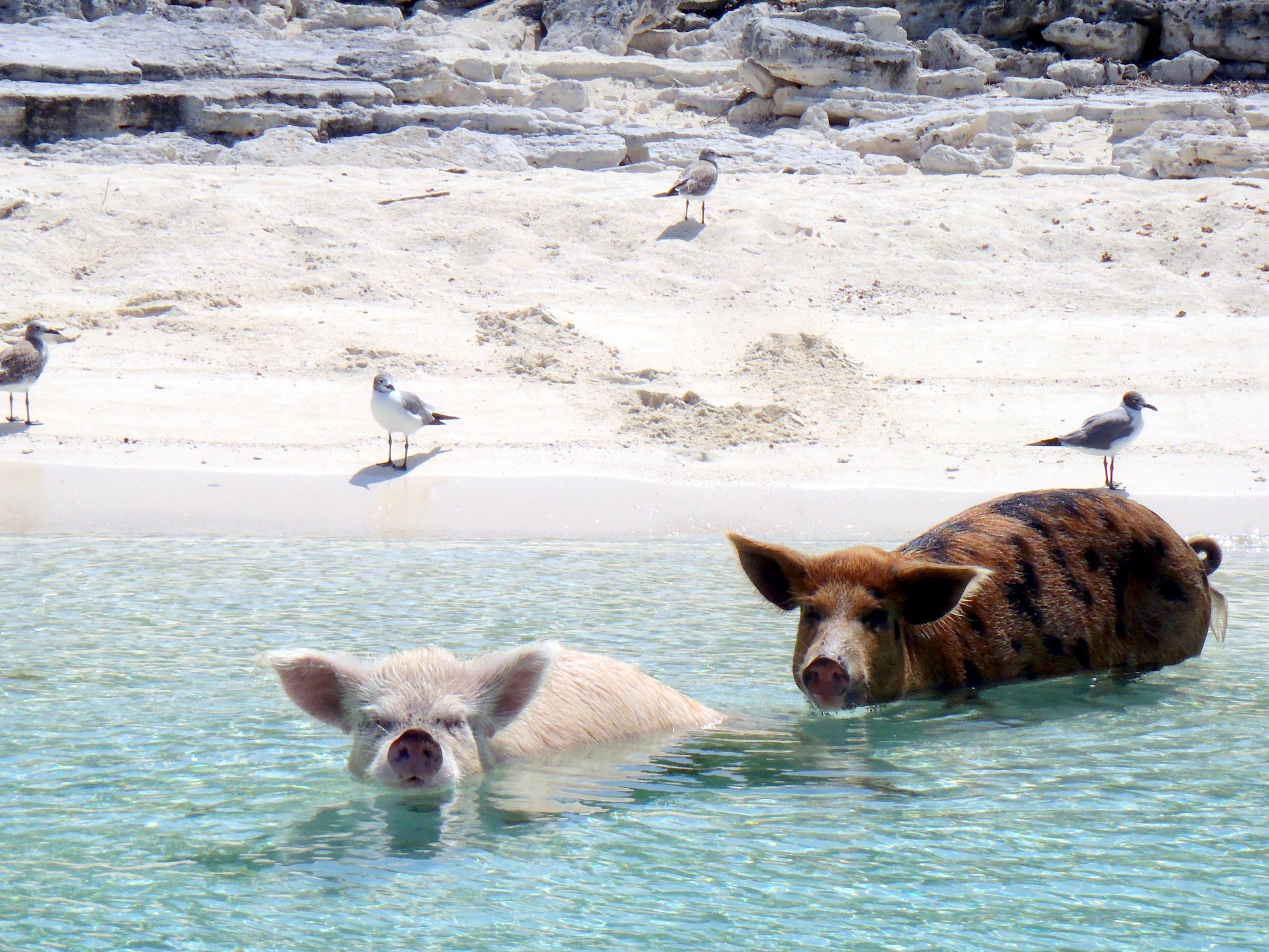 The Exumas, The Bahamas