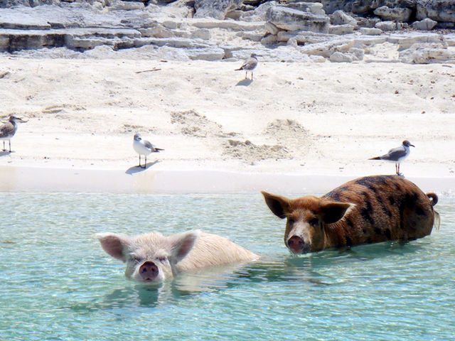 The Exumas, The Bahamas