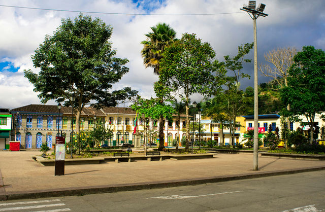 a street with trees and buildings