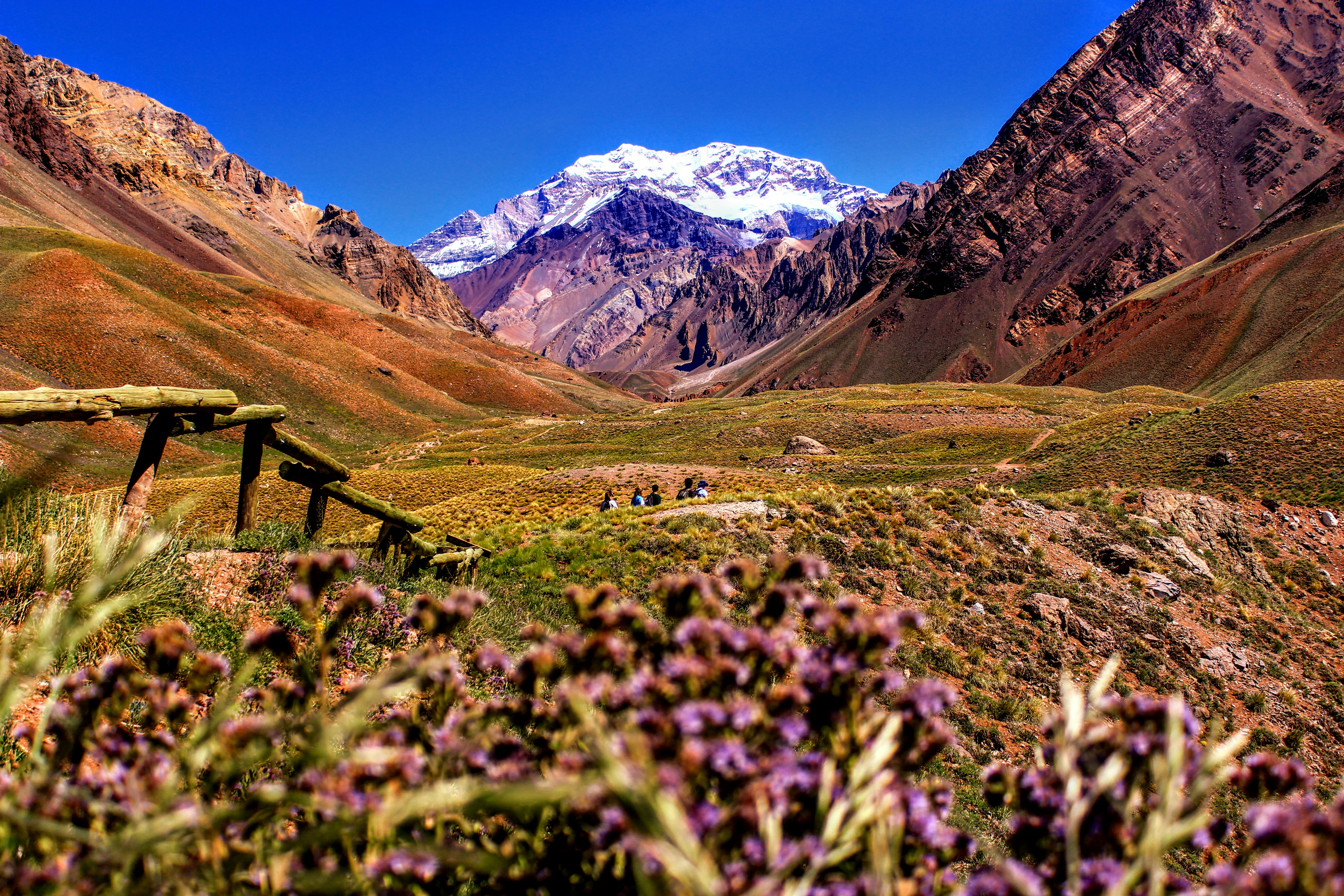 Argentina — image 2