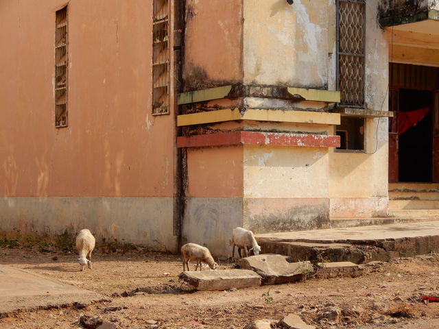 Guinea-Bissau