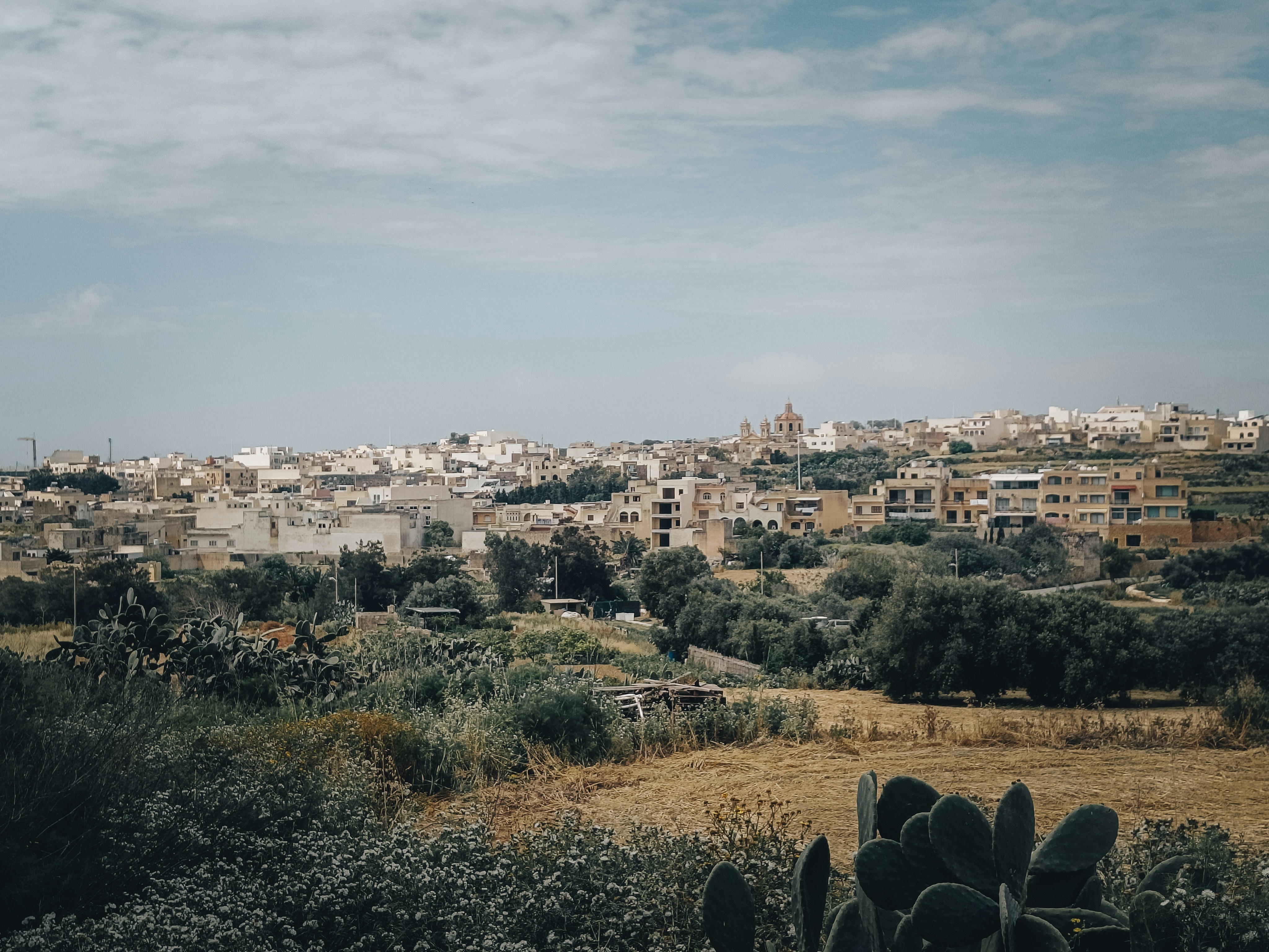 Malta — image 6