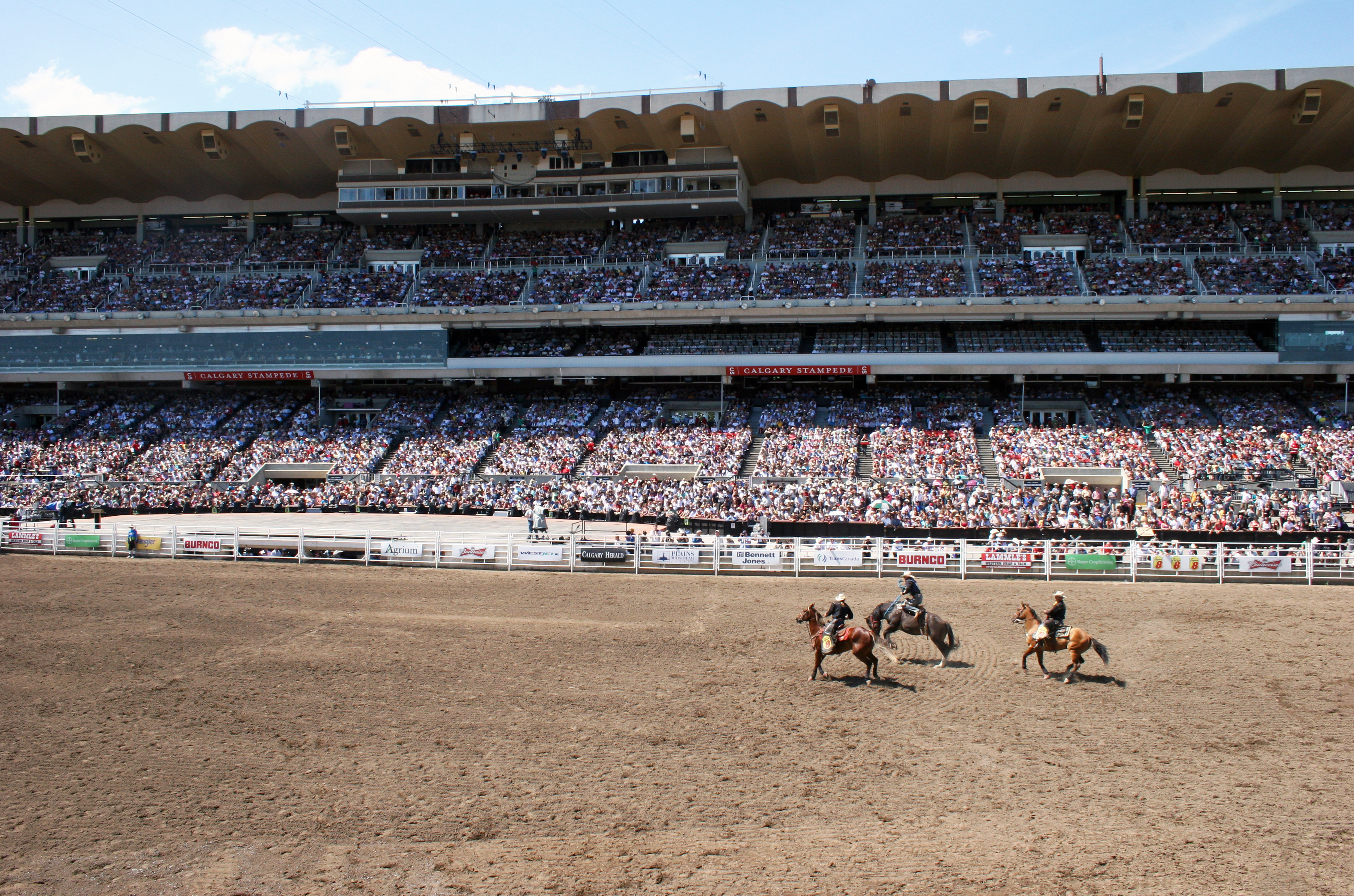Rodeo action at the Calgary Stampede