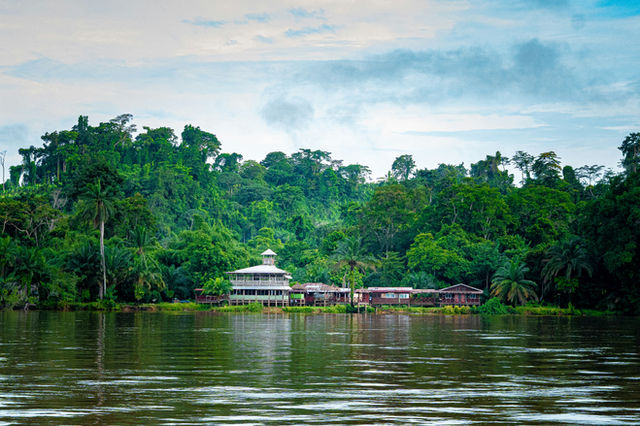 Houses sit by a body of water in a forest.