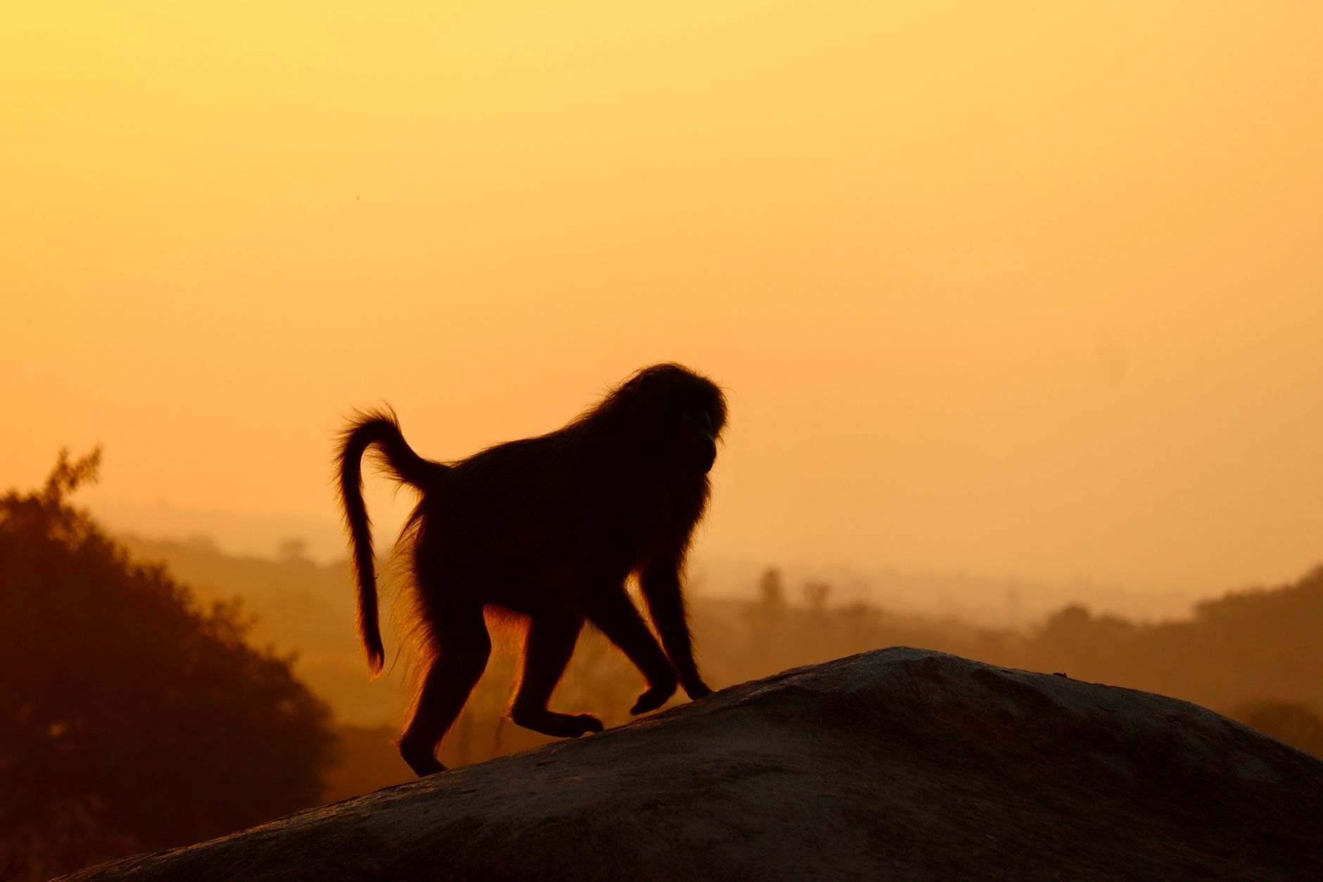 Zimbabwe — image 3