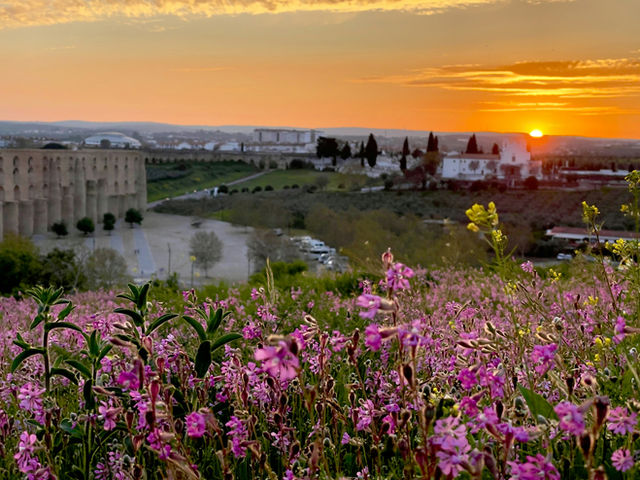 Elvas