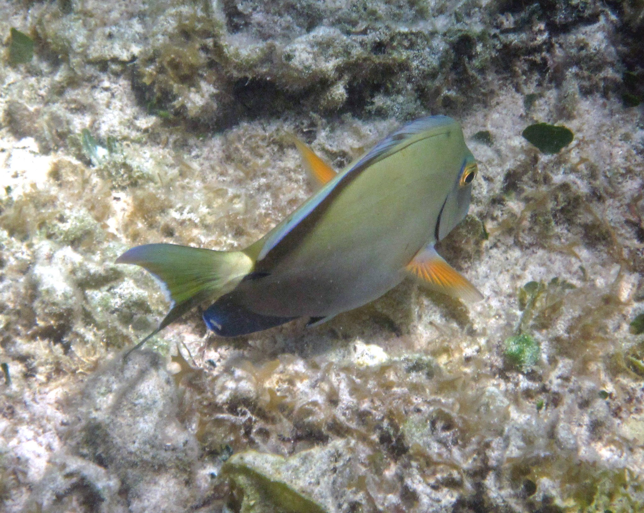 San Salvador, The Bahamas