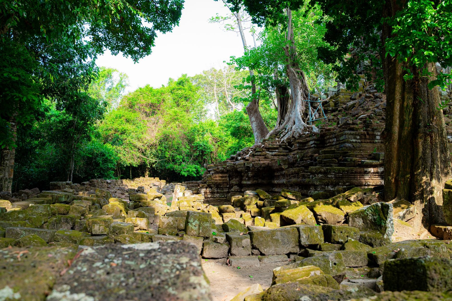 Cambodia — image 4