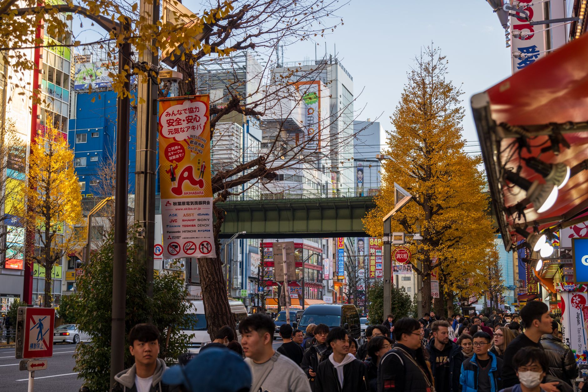 Harajuku Akihabara, Tokyo