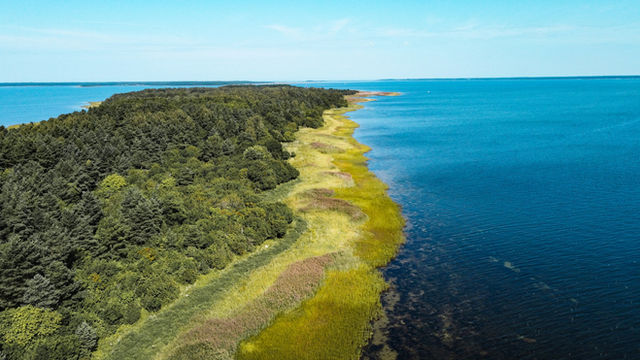 green trees near blue sea under blue sky during daytime