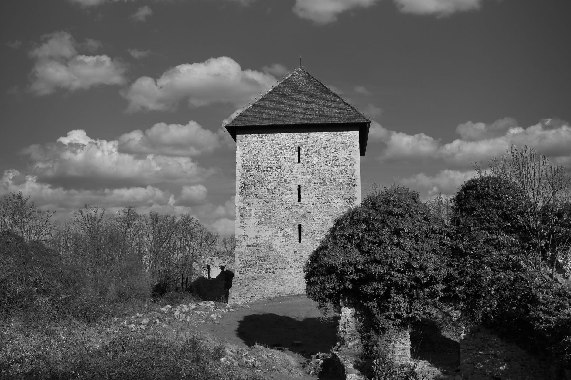 Provins