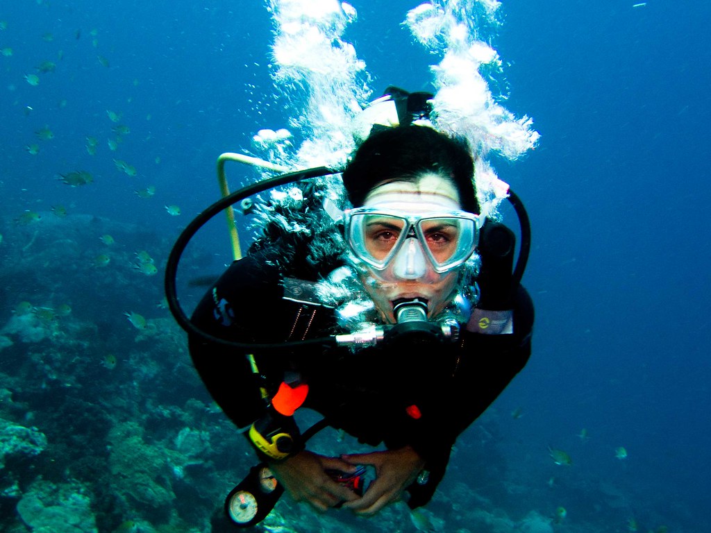 Komodo — photo 10
