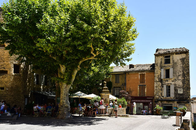 Bustling village square with café under a large tree in Provence, France.