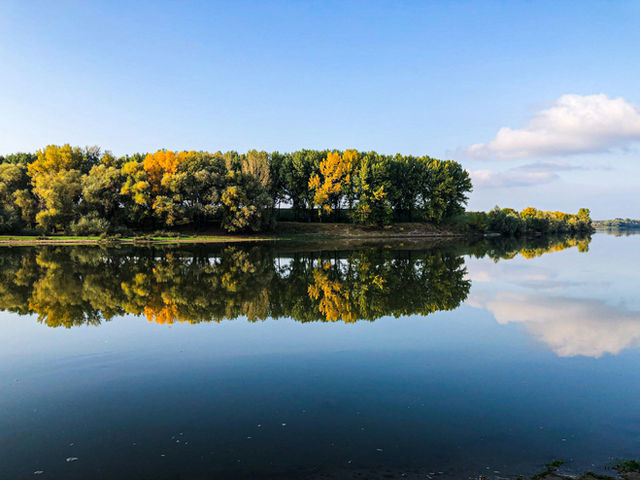 a large body of water surrounded by trees