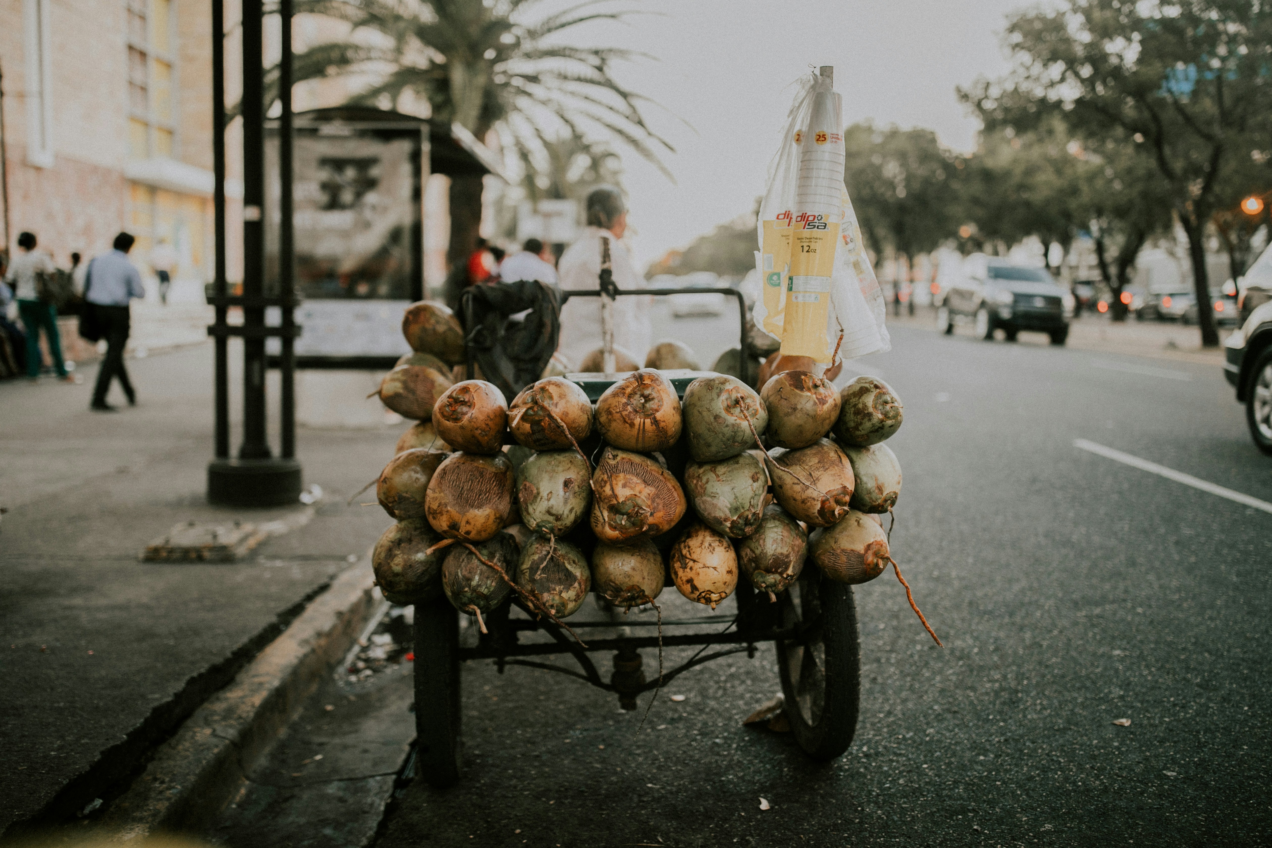 Dominican Republic — image 4