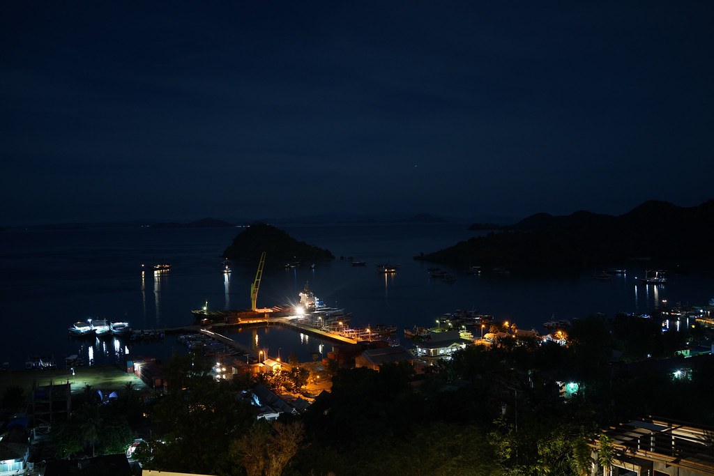 Komodo — photo 3