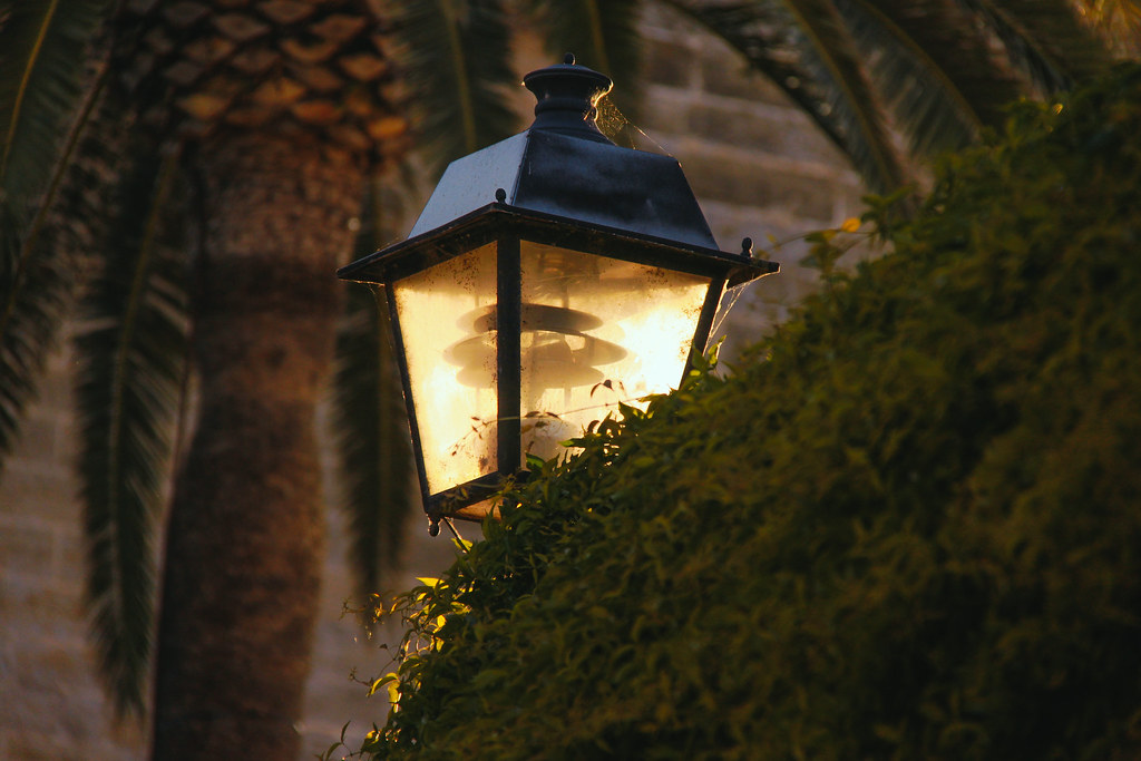 Mallorca — photo 6