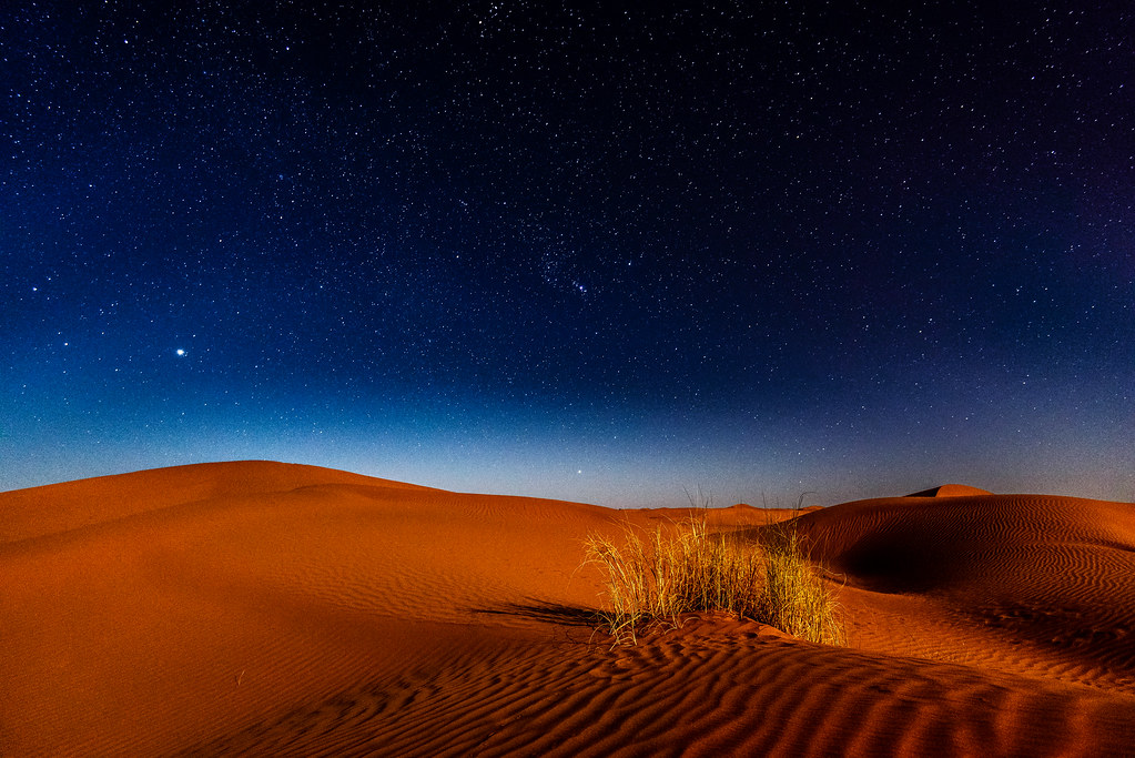Sahara Desert — photo 12