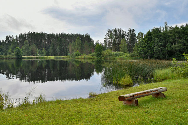 A serene lake with a wooden bench and forest reflection