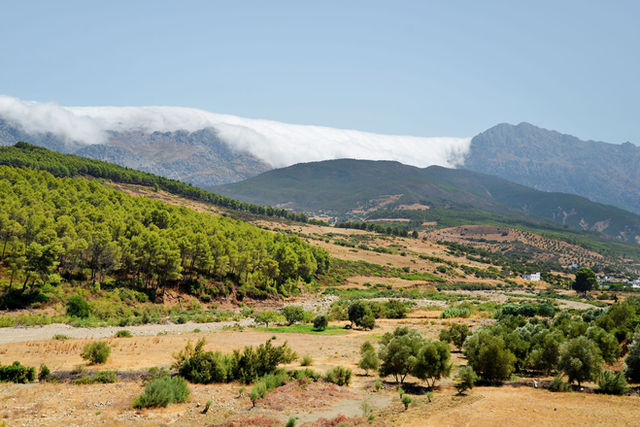 Breathtaking view of Chefchaouen's lush valleys and majestic mountains under a clear sky.
