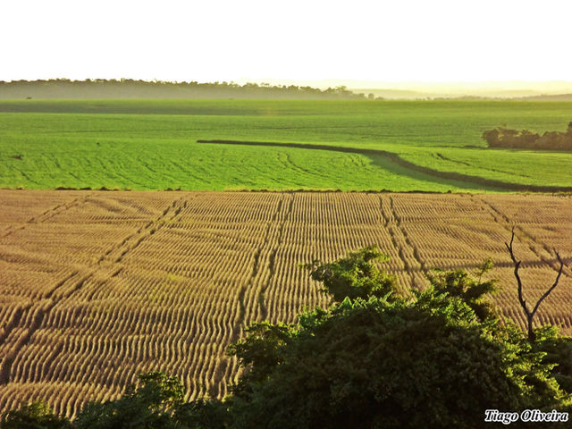 Goiás, Brazil