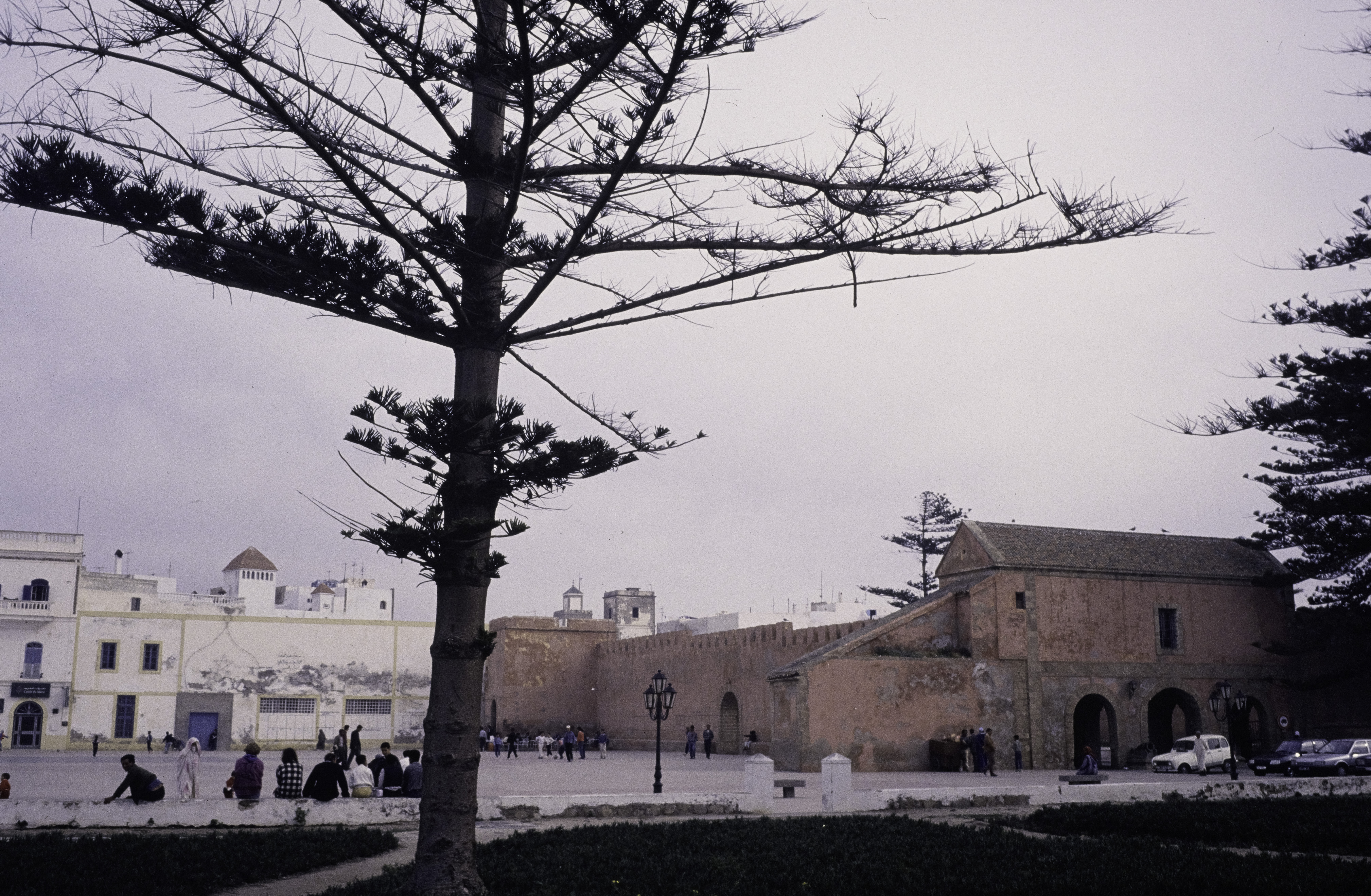 Essaouira — photo 16