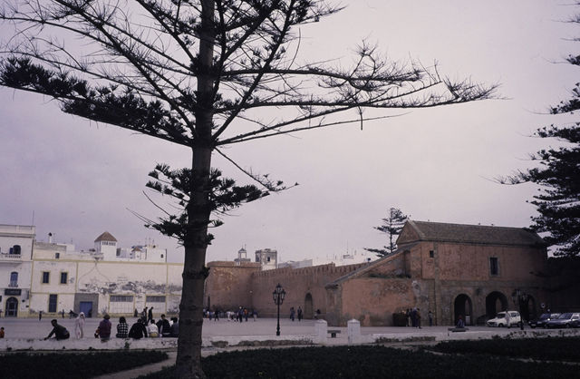 Essaouira — photo 16