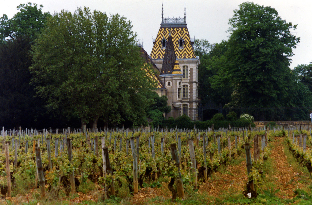 Burgundy — photo 10