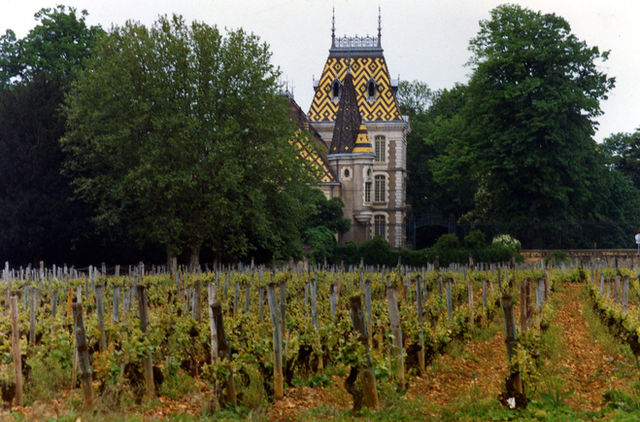 Burgundy — photo 10