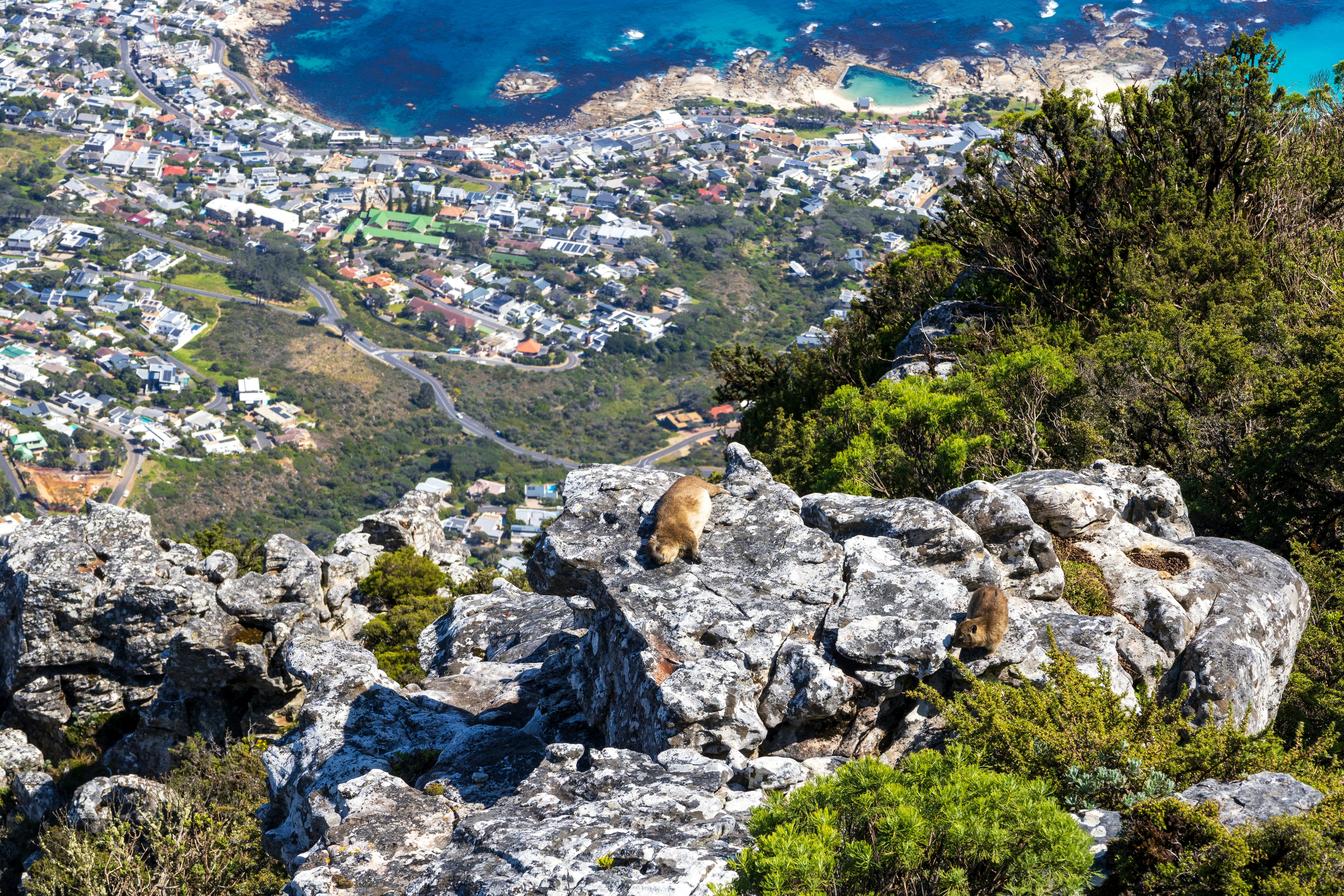 South Africa — image 1
