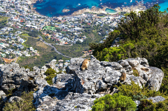A bird's eye view of a city from a mountain