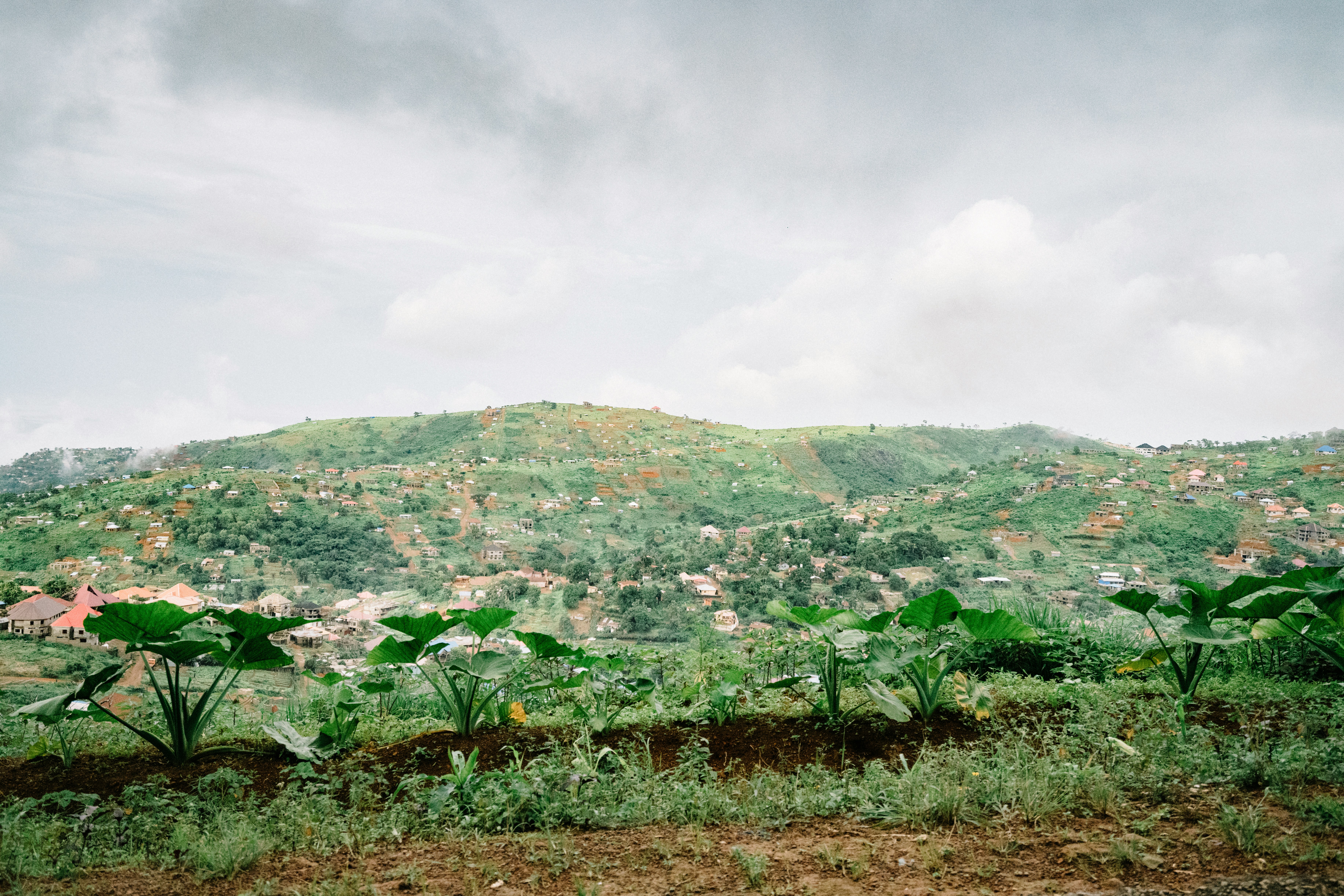 Sierra Leone — image 5