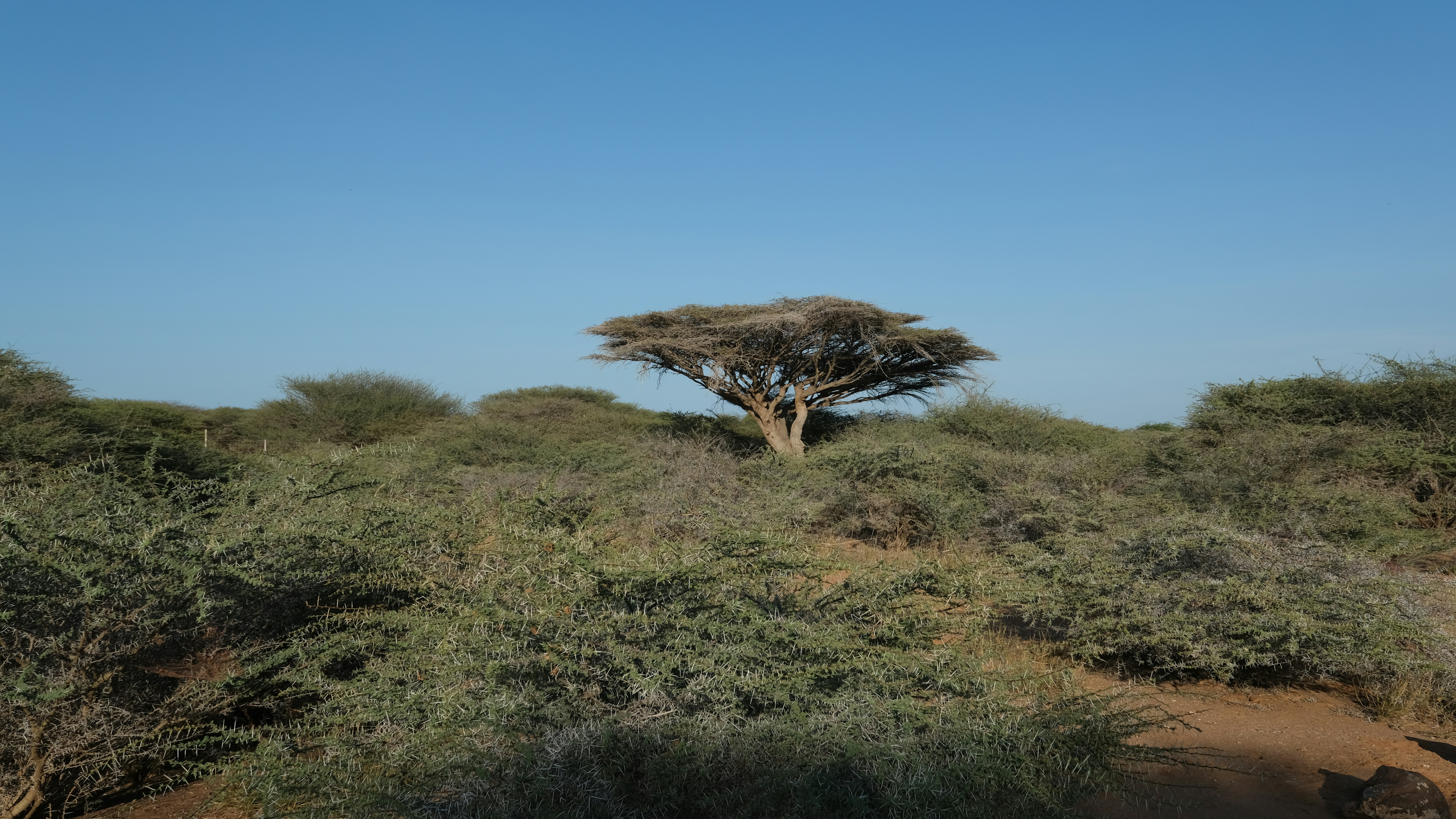 Djibouti — image 1