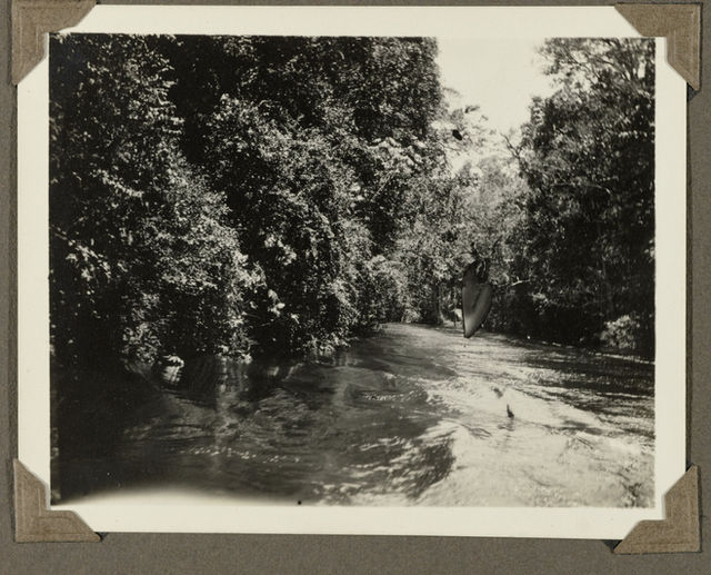 IdentificatieTitel(s): Rivier in SurinameObjecttype: foto Objectnummer: NG-2009-93-2-2Omschrijving: Rivier in het binnenland van Suriname. Foto met hoekjes bevestigd op een bladzij