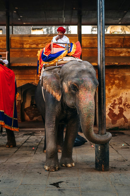 A painted elephant waits with its mahout