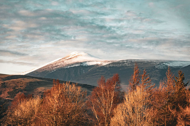 Scenic view of a snow-capped peak with golden trees in the foreground during sunset in Lake District.