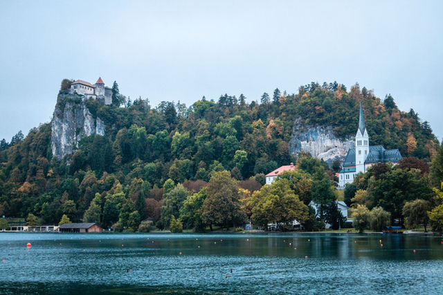 Picturesque view of Bled Castle and St. Martin's Church with lush greenery in Slovenia.