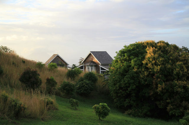 house near trees and greenfield