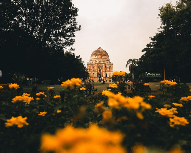 View of Bara Gumbad monument in New Delhi surrounded by vibrant yellow flowers in a park.