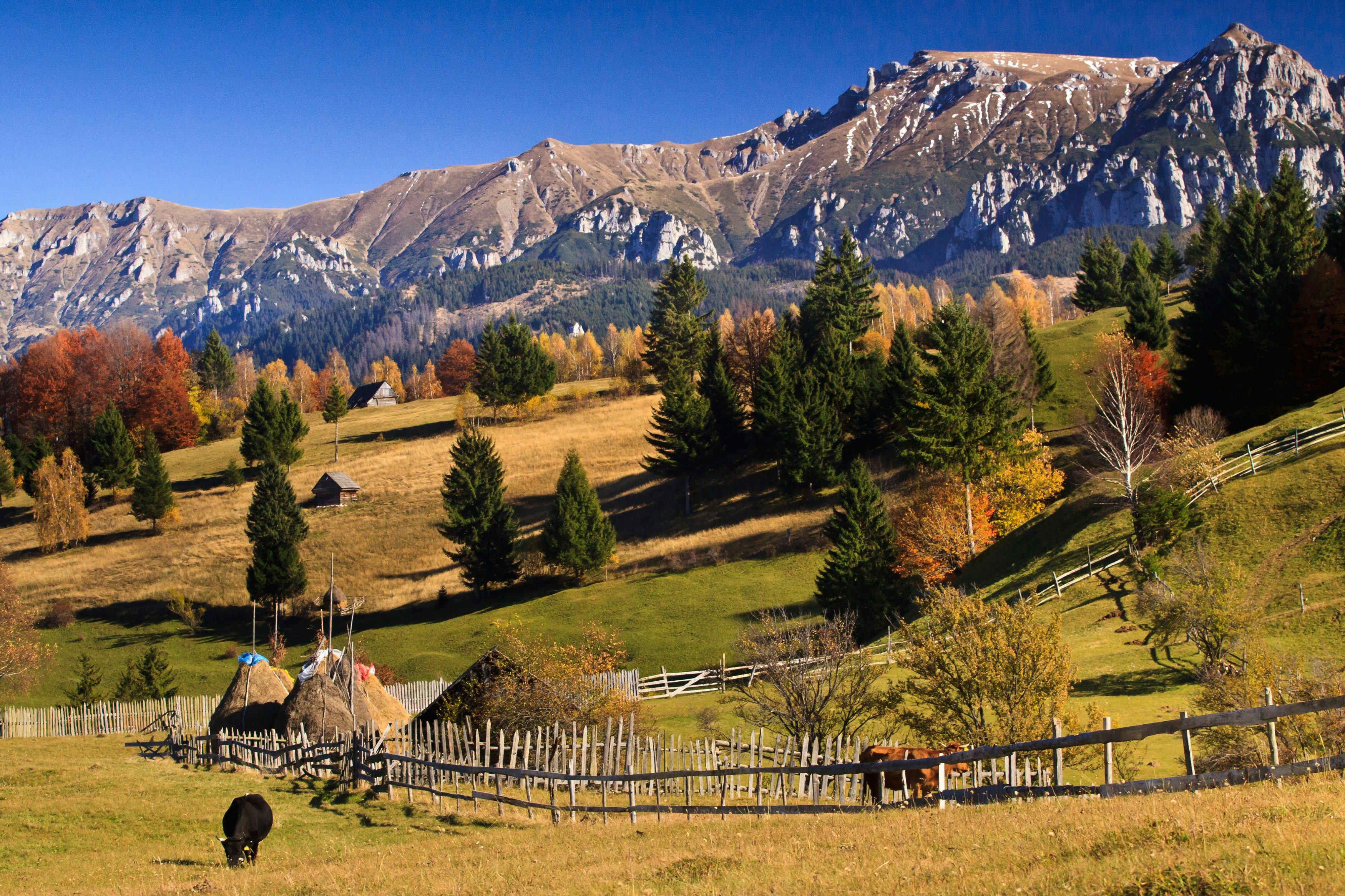 Romania — image 2