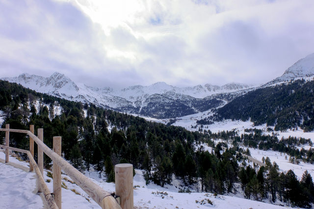 wooden fence and snow-covered field