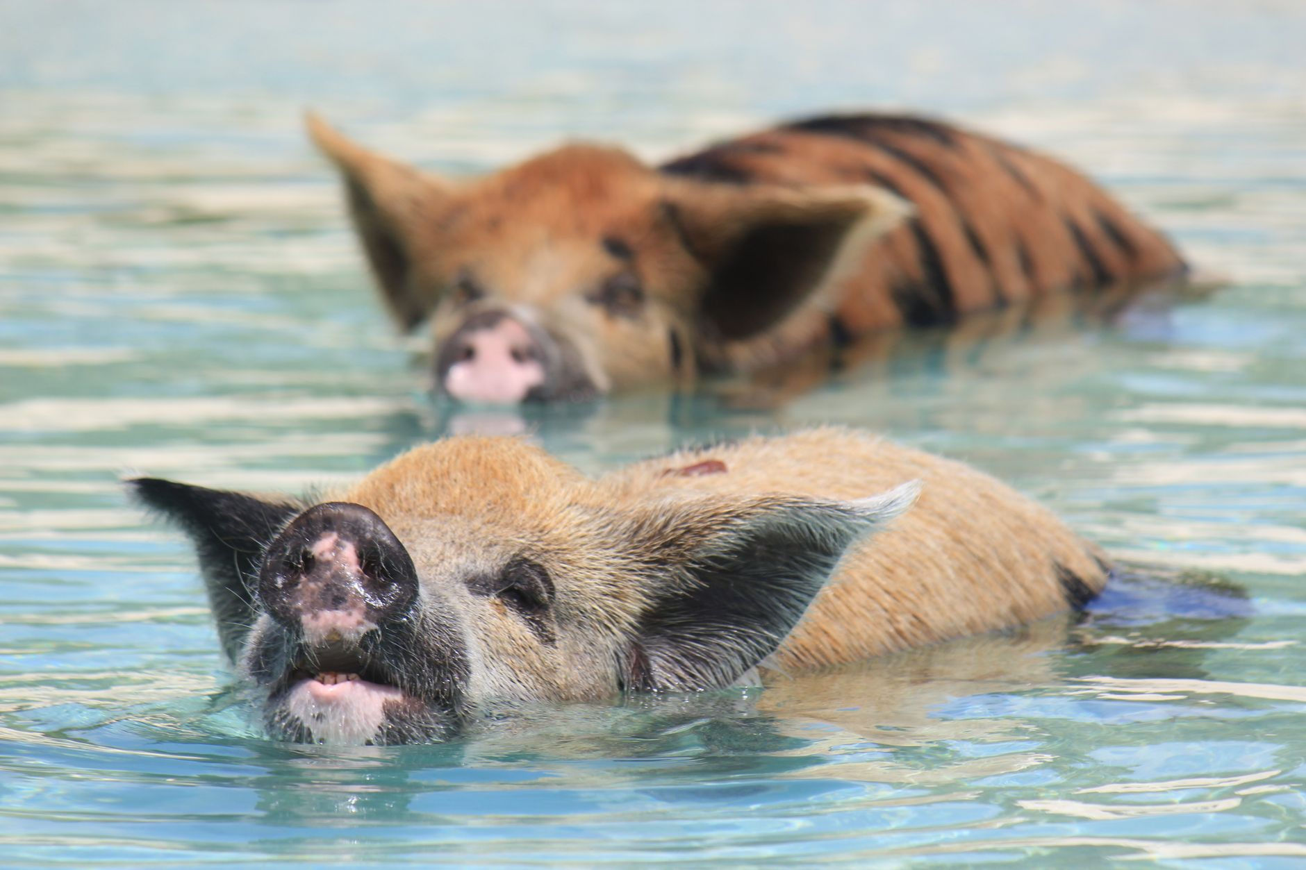 Exuma, The Bahamas