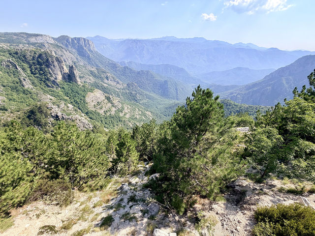 Pines on a rocky viewpoint looking out across the Albanian mountains to a hazy chain of peaks
