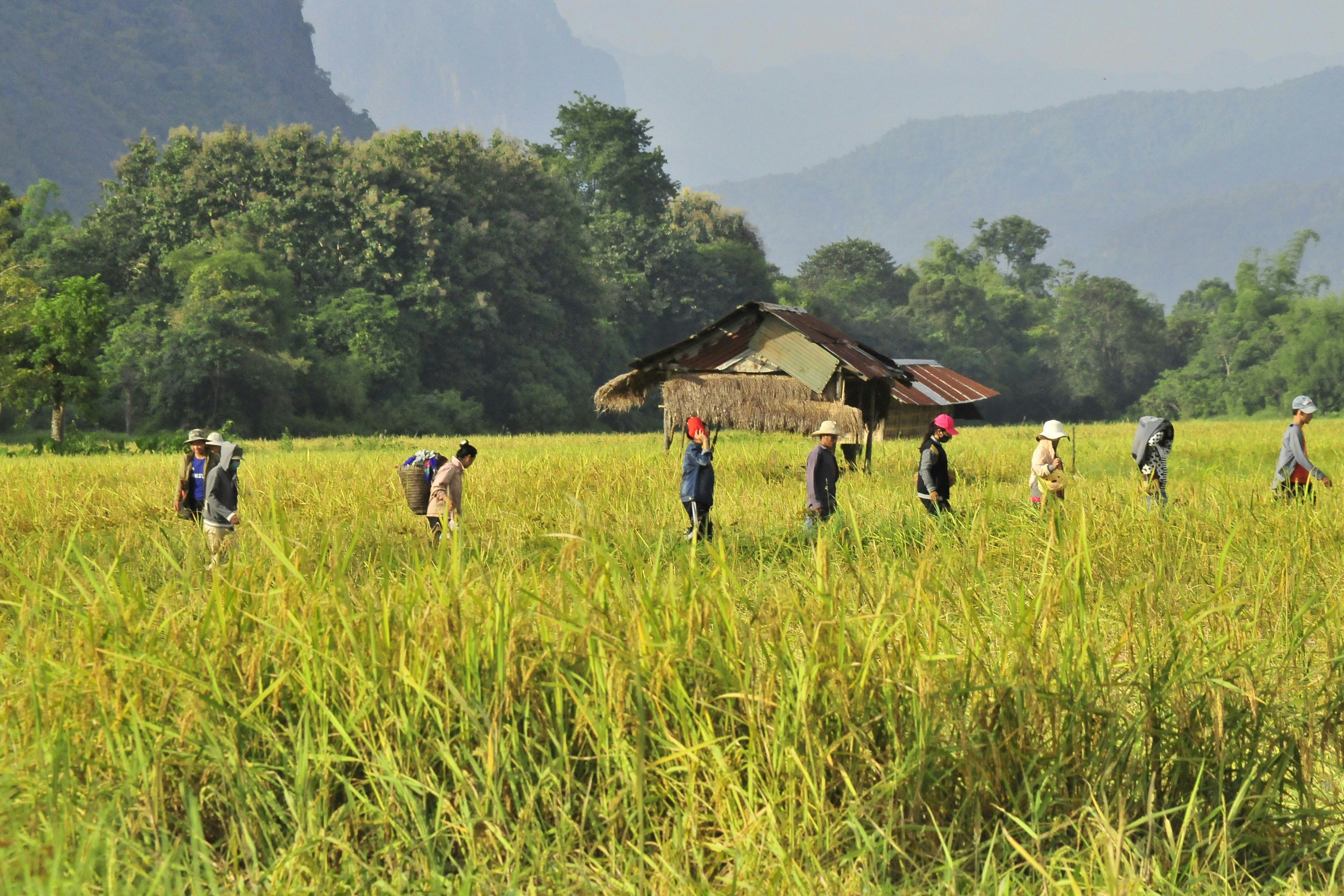 Laos — image 5
